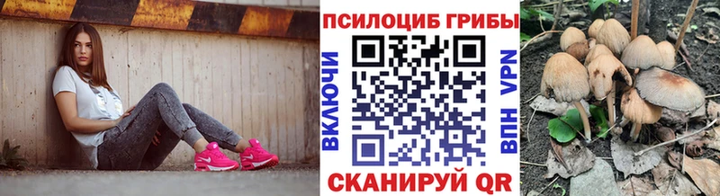 Галлюциногенные грибы Psilocybine cubensis  блэк спрут ONION  Приволжск  закладки 